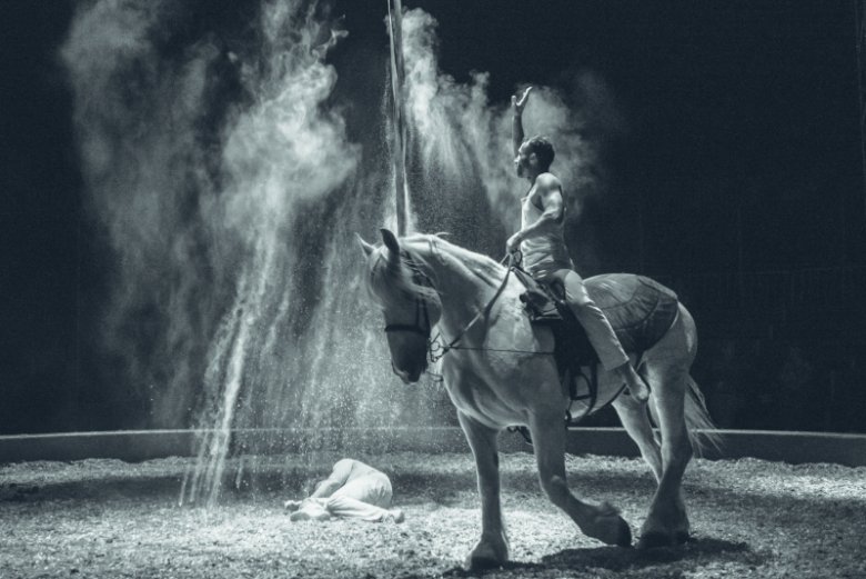 spectacle Plume de cheval